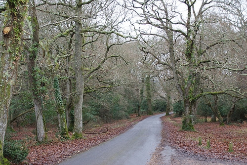 6695377853_8a87dd2885