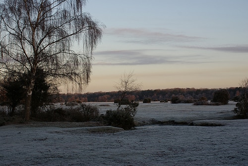 6695386599_9435836151